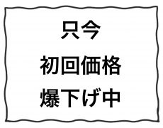 初回価格爆下げ中！！＜延長＞